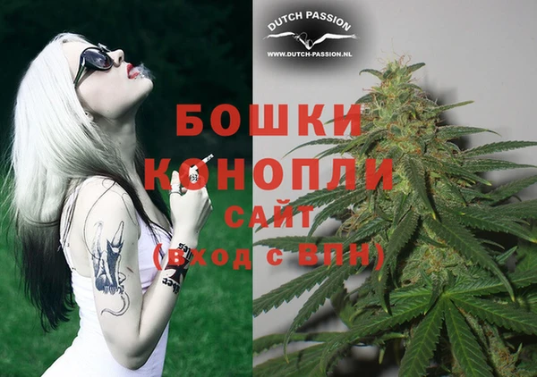 молекула духа Заволжье