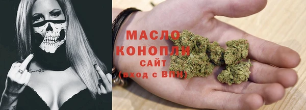 молекула духа Заволжье