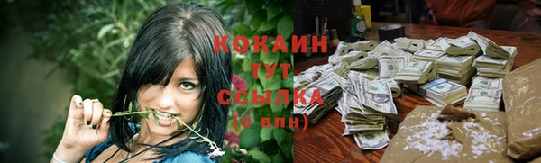 молекула духа Заволжье