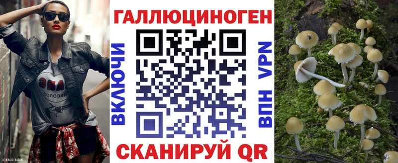 Купить где  Строитель  Галлюциногенные грибы GOLDEN TEACHER 
